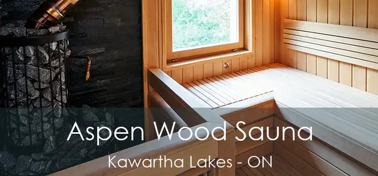  Aspen Wood Sauna Kawartha Lakes - ON