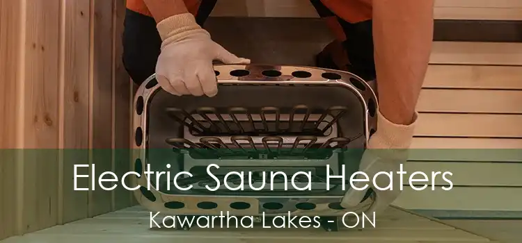  Electric Sauna Heaters Kawartha Lakes - ON