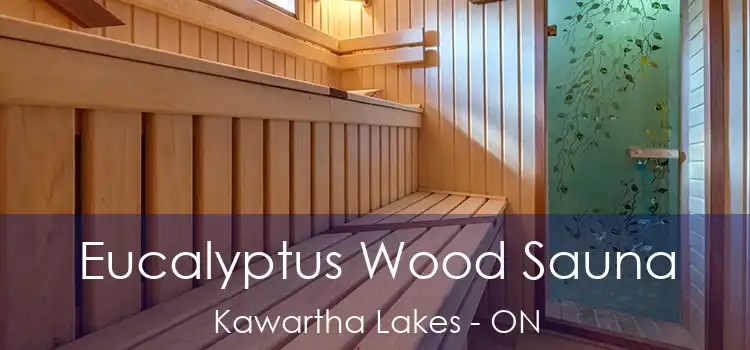  Eucalyptus Wood Sauna Kawartha Lakes - ON