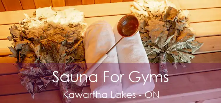  Sauna For Gyms Kawartha Lakes - ON