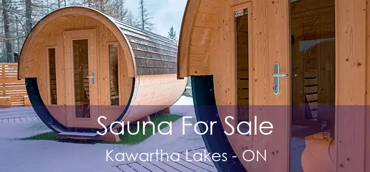  Sauna For Sale Kawartha Lakes - ON