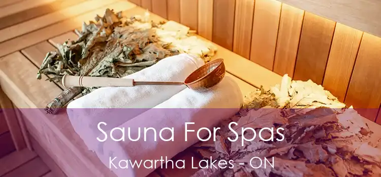  Sauna For Spas Kawartha Lakes - ON