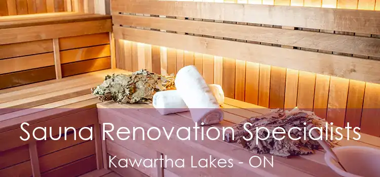  Sauna Renovation Specialists Kawartha Lakes - ON