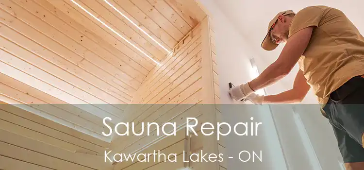  Sauna Repair Kawartha Lakes - ON