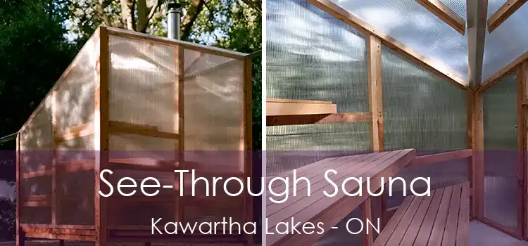  See-Through Sauna Kawartha Lakes - ON